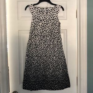 Calvin Klein black and white dress